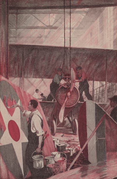 Ein Flugzeug bauen von Thornton Oakley