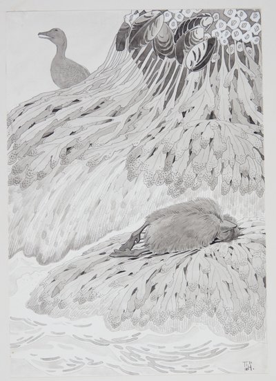 Eine Eiderente und ein toter Vogel am Strand von Thorolf Holmboe