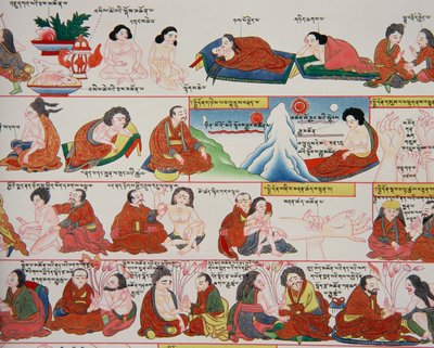 Manuskript über tibetische Medizin von Tibetan School