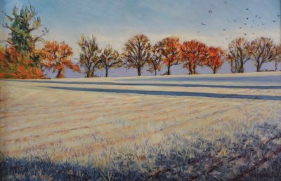 Frost auf dem Feld von Tilly Willis