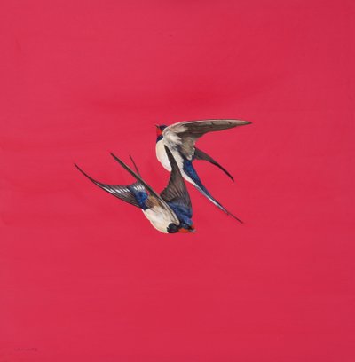 Wirbel-Rot von Tim Hayward