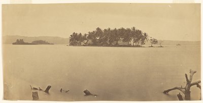 [Landenge von Darién (Panama)] von Timothy H. O