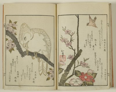Kyoka hyakucho Kocho von Totoya Hokkei