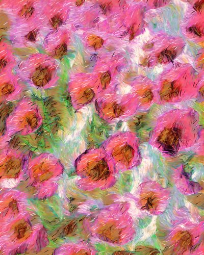 Träumende Rosa Blüten von Uma Gokhale