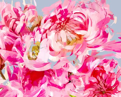 Rosa Blumenexpression von Uma Gokhale