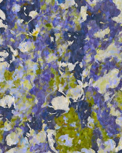 Lebendiger Blumeneindruck von Uma Gokhale