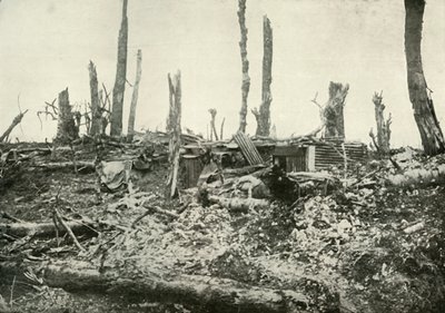 Ein Unterstand in einem einst idyllischen Wald, 1919 von Unbekannt