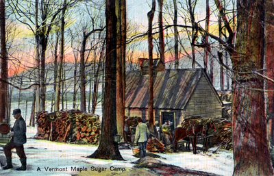 Ein Ahornzucker-Camp in Vermont, USA, frühes 20. Jahrhundert von Unbekannt