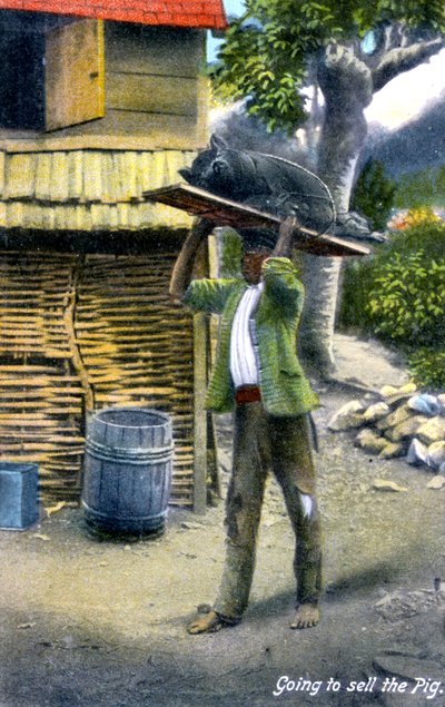 Ein Mann auf dem Weg zum Markt, um ein Schwein zu verkaufen, Jamaika, ca. 1900er Jahre von Unbekannt