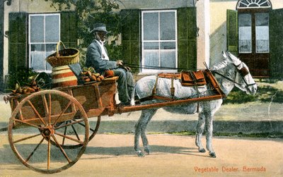Ein Gemüsehändler, Bermuda, um 1900 von Unbekannt