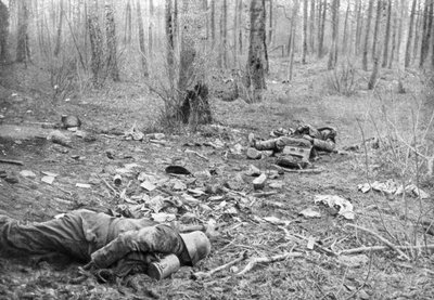 Nachwirkungen der Kämpfe im Park von Plessis-de-Roye, Picardie, Frankreich, 30. März 1918 von Unbekannt