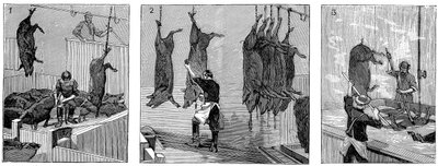 Schlachthaus der Armour Company, Chicago, Illinois, USA, 1892 von Unbekannt