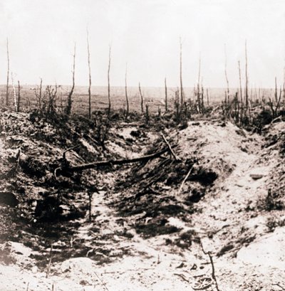 Schlachtfeld, um 1914-1918 von Unbekannt