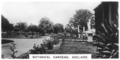 Botanische Gärten, Adelaide, Australien, 1928 von Unbekannt