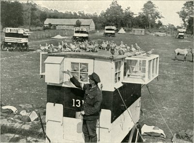 Träger-Tauben der britischen Armee in Frankreich: Pferdegezogene Lofts, 1919 von Unbekannt