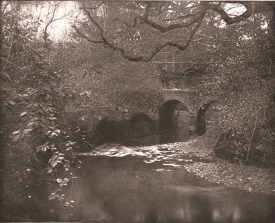 Bach und Brücke im New Forest, Hampshire von Unbekannt