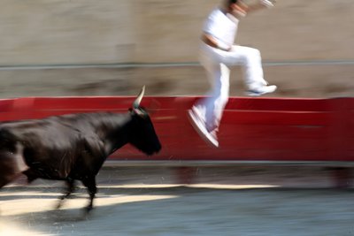 Stierkampf (Course camarguaise). Ein unblutiges Spektakel (für die Stiere), bei dem es darum geht, eine Rosette vom Kopf eines Stieres zu schnappen, Vallabregues, Frankreich von Unbekannt