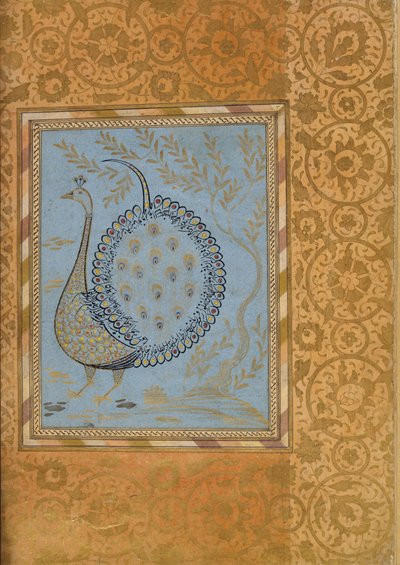 Kalligraphische Komposition in Form eines Pfaus, Folio aus dem Bellini-Album, ca. 1600 von Unbekannt