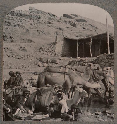 Kamelkarawane aus Jerash, Wasserstelle am Brunnen von Elisha, um 1900 von Unbekannt