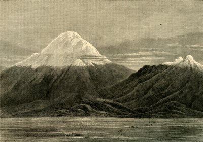 Chimborazo und Carihuairazo, aus der Richtung von Riobamba von Unbekannt