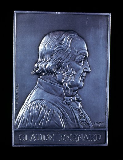 Claude Bernard, französischer Physiologe des 19. Jahrhunderts, 1913 von Unbekannt