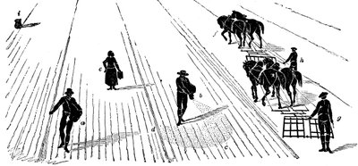 Fruchtwechsel: Aussaat und Eggen von Korn, 1855 von Unbekannt
