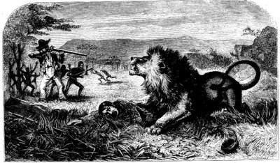 David Livingstone, von einem Löwen gerettet durch Mebalwe, einen einheimischen Schulmeister, 1857 von Unbekannt