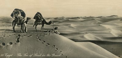 Ägypten - Das Meer des Landes in der Wüste, ca. 1918-ca. 1939 von Unbekannt