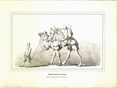 Ein Kamel mit Führer aus Sardes. Illustration aus dem Buch Brogede rejsebilleder von Jerichau-Baumann, Elisabeth und veröffentlicht von Forlagsbureauet (Kopenhagen, 1881) von Unbekannt