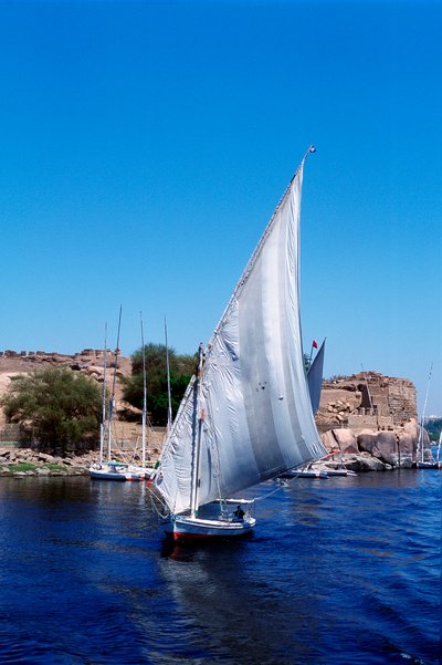 Feluccas auf dem Nil, Elephantine-Insel bei Assuan, modernes Ägypten von Unbekannt