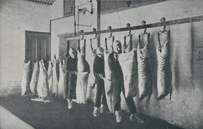 Gefrorenes Fleisch, 1910 von Unbekannt