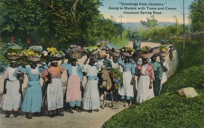 Grüße aus Jamaika. Auf dem Weg zum Markt mit Yams und Zuckerrohr. Constant Spring Road, 1913 von Unbekannt