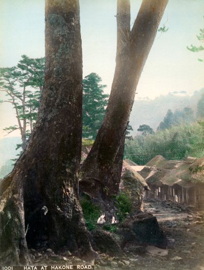 Hata an der Hakone-Straße, Japan, frühes 20. Jahrhundert von Unbekannt