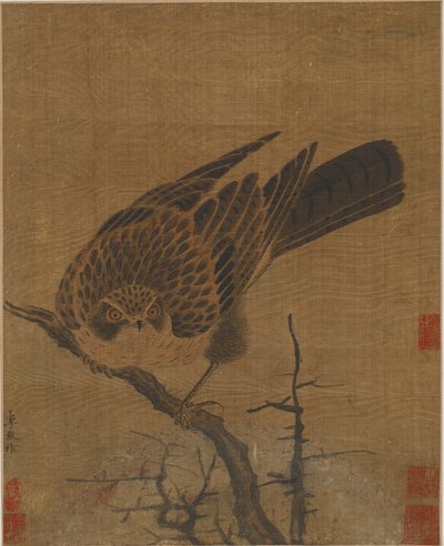 Falke auf einem blattlosen Ast, Möglicherweise Yuan-Dynastie, 1279-1368 von Unbekannt
