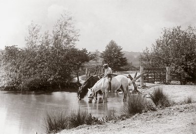 „Pferde trinken am Teich“, um 1890 von Unbekannt