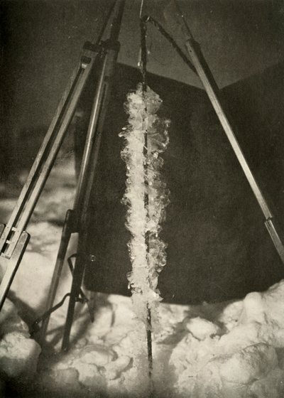 Eiskristalle, die sich an der Leine einer Fischfalle gebildet haben von Unbekannt