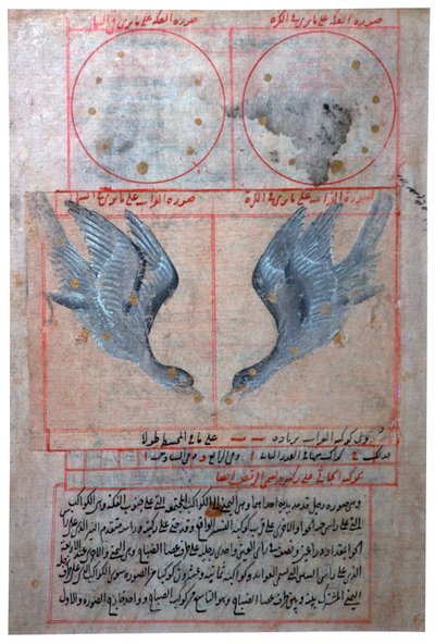 Illustration der Sternbilder der südlichen Hemisphäre, 16. Jahrhundert von Unbekannt