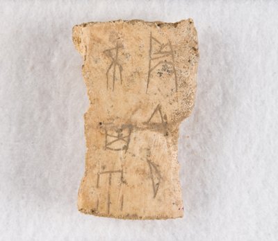 Beschriftetes Knochenfragment Orakelknochen von Unbekannt