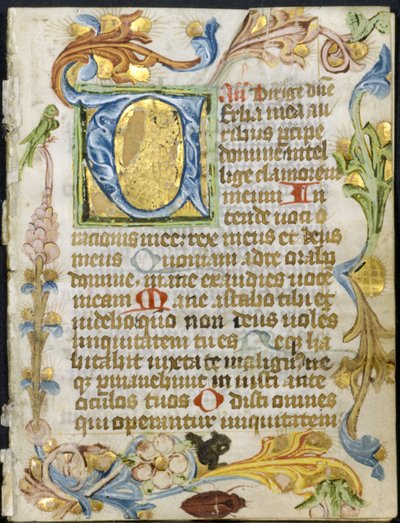Blatt aus einem Stundenbuch: Initiale V mit Blumenrand, ca. 1460-1500 von Unbekannt