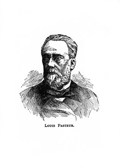 Louis Pasteur, französischer Mikrobiologe und Chemiker des 19. Jahrhunderts, 20. Jahrhundert von Unbekannt
