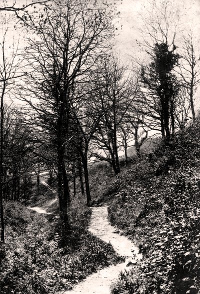 Lovers Lane, Fairlight, Hastings, Sussex von Unbekannt