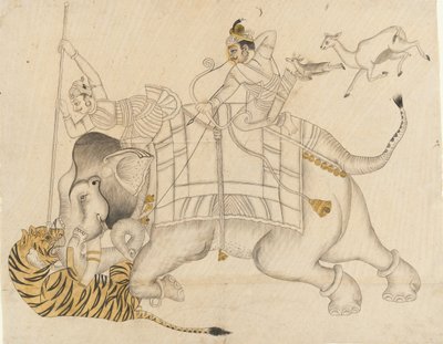 Maharao Shatru Sal II jagt einen Tiger, ca. 1866-89 von Unbekannt