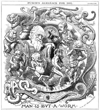 Der Mensch ist nur ein Wurm, Karikatur aus Punch, die die Evolution vom Wurm zum Menschen zeigt, 1881 von Unbekannt