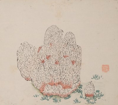 Seite aus Shi Zhu Zhai von Unbekannt