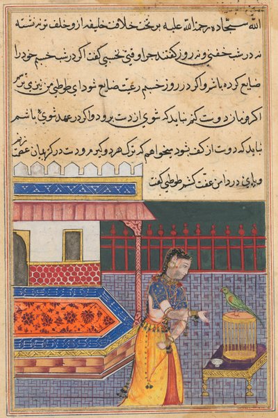 Seite aus den Geschichten eines Papageis Tuti-nama: Einundvierzigste Nacht: Der Papagei spricht zu Khujasta..., ca. 156 von Unbekannt