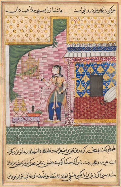 Seite aus Geschichten eines Papageis Tuti-nama: Siebzehnte Nacht: Der Papagei..., ca. 1560 von Unbekannt