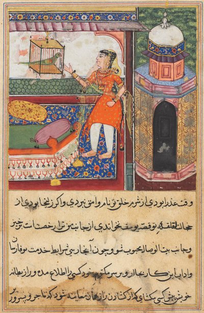 Seite aus Geschichten eines Papageis Tuti-nama: Zehnte Nacht: Der Papagei spricht zu Khujasta..., ca. 1560 von Unbekannt