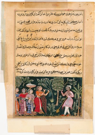 Seite aus Geschichten eines Papageis Tuti-nama: Zwölfte Nacht: Die Tochter des Kaufmanns..., ca. 1560 von Unbekannt