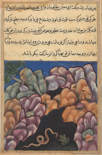 Seite aus den Geschichten eines Papageis Tuti-nama: Sechsundzwanzigste Nacht: Die Schlange tritt ein..., um 1560 von Unbekannt