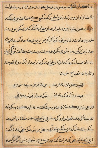 Seite aus den Geschichten eines Papageis Tuti-nama: Textseite, ca. 1560 von Unbekannt